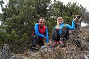 24 Bellissimi pini mughi ad alto fusto